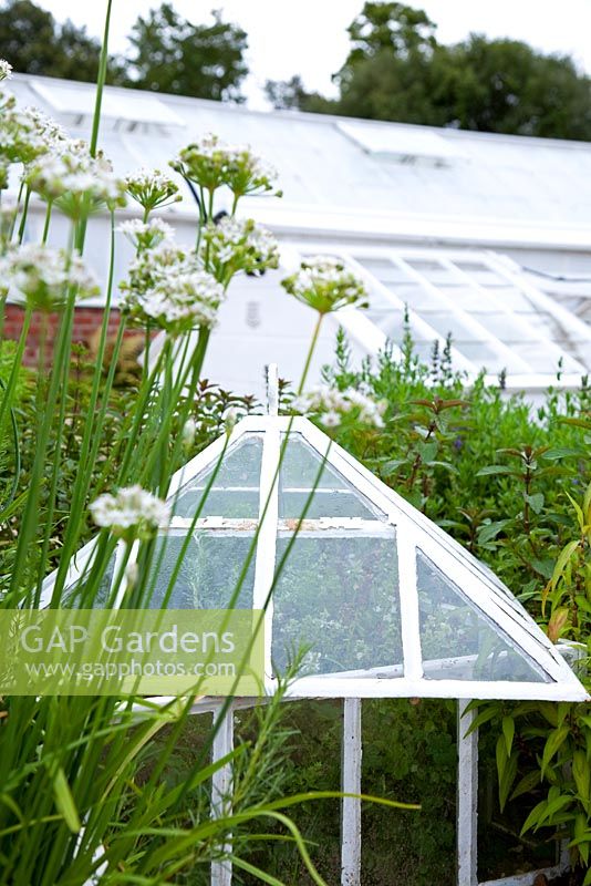 Glasshouses and cloche in herb garden at West Dean