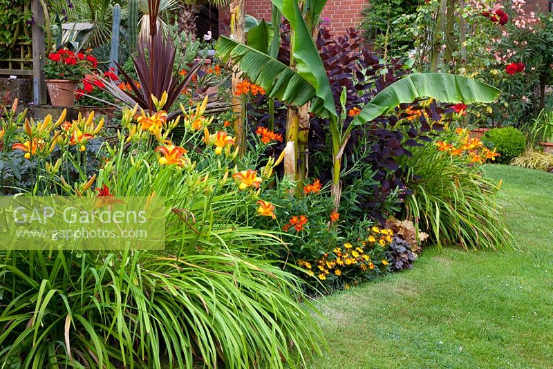 Exotic garden with Musa, Hemerocallis 'Frans Hals' and Cordyline australis 