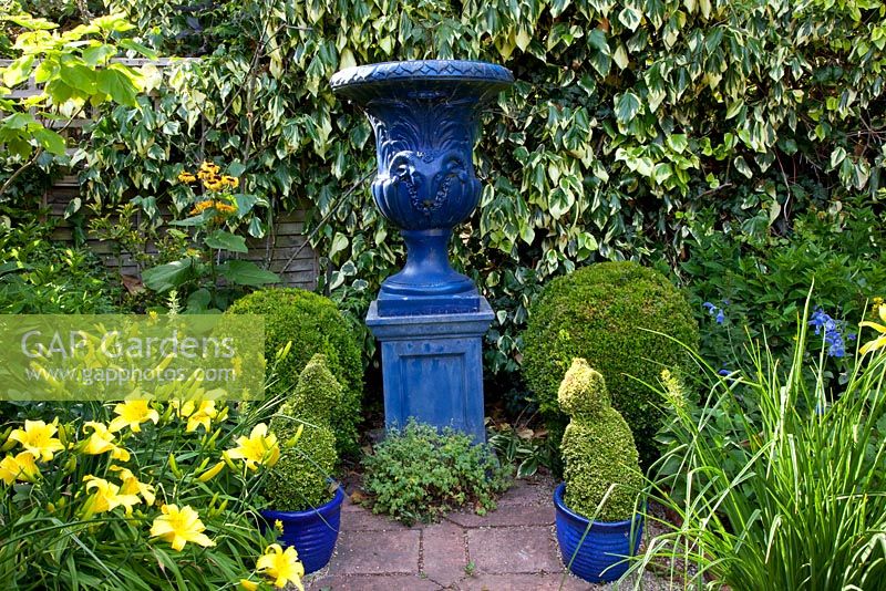 Topiary, Hemerocalilis and Hedera colchica 'Sulphur Heart' surrounding a glazed urn