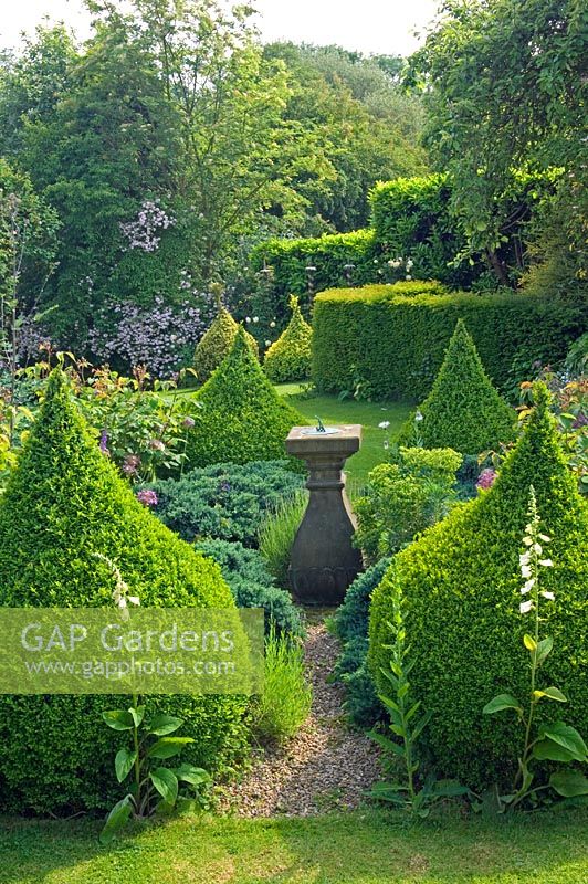 Sundial and clipped Buxus - Box topiary. Hillbark, Bardsey, Yorkshire NGS 