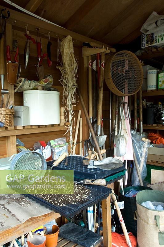 Shed interior with staging and seed trays, July. Norfolk, UK

