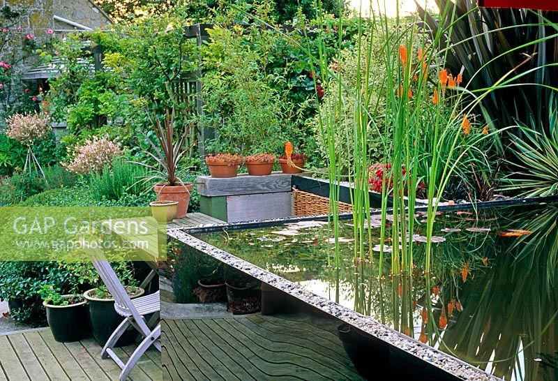 Raised pond in contemporary garden - Garstons, Isle Of White