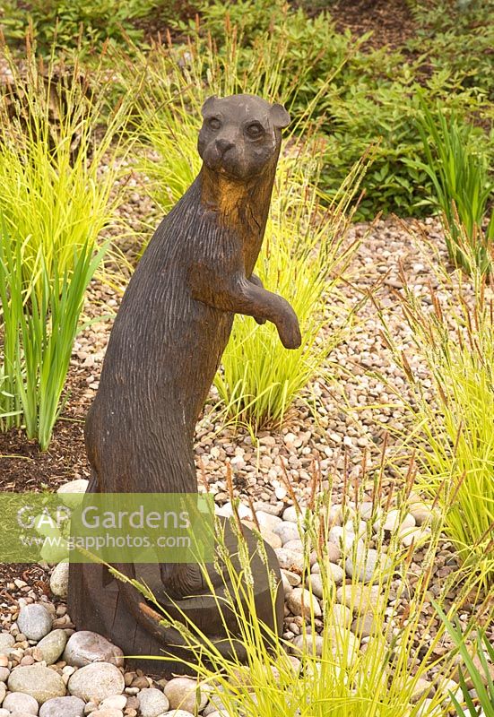 Bronze otter on gravel area with grasses in May.  John Massey`s Garden Ashwood (NGS) West Midlands