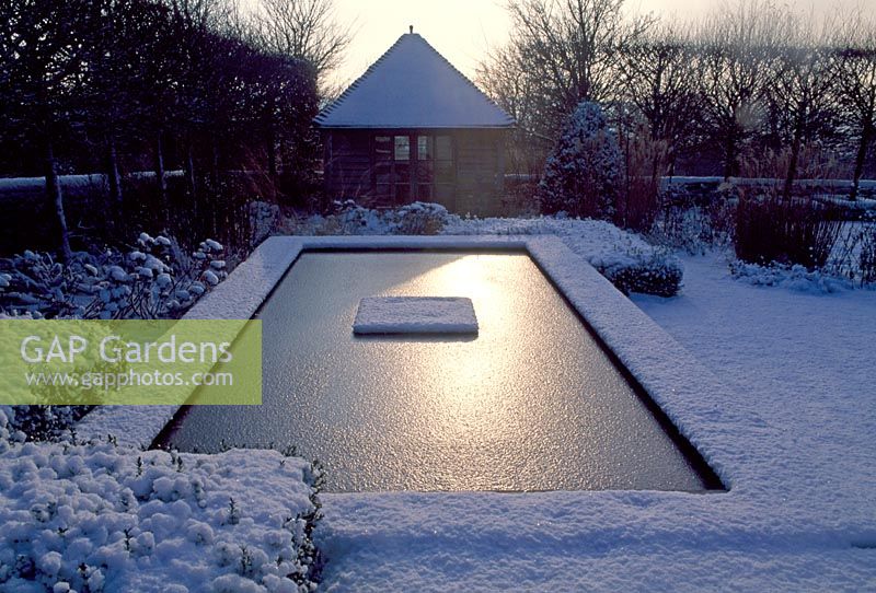 Pond in winter garden, Sussex