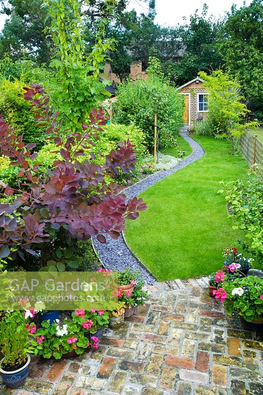 Elevated view of long, narrow town garden with lawn and sinuous path leading to garden studio. Brick paving, slate chippings, Cotinus, pots of Pelargoniums.