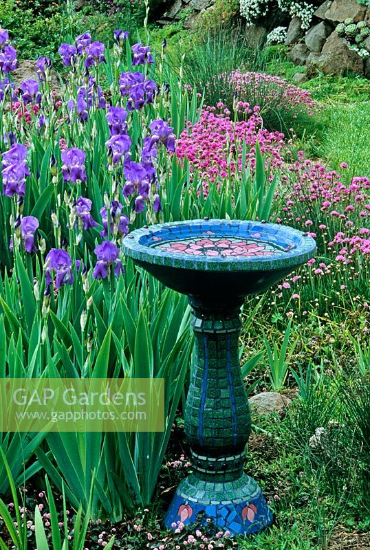 Blue mosaic bird bath near flowerbed of Iris and Armeria 