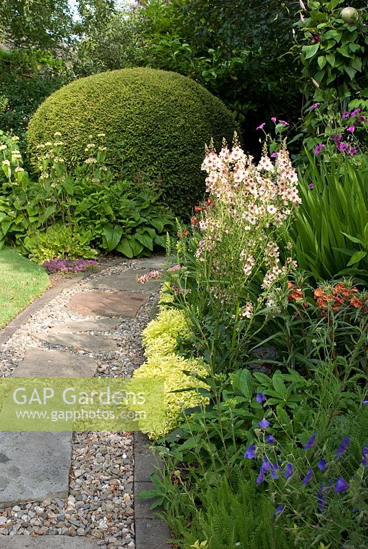Curving path of stone slabs and gravel with summer border of Origanum vulgare 'Aureum', Clematis, Verbascum 'Southern Charm', Oenothera campylocalyx, Geranium 'Brookside' and Geranium psilostemon - 'Wedgwood', NGS garden, Lancashire