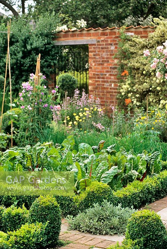 Brick walled vegetable garden with metal gate. Square beds edged with Buxus- Box topiary. Cane wigwams with Lathyrus - Sweet peas, Ruby Chard, Chives. The Old Rectory, Sudborough, UK