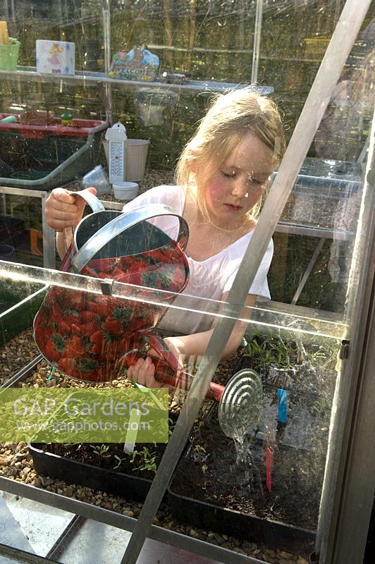 Millie watering tray of seedlings in the greenhouse. Pannells Ash Farm West, UK