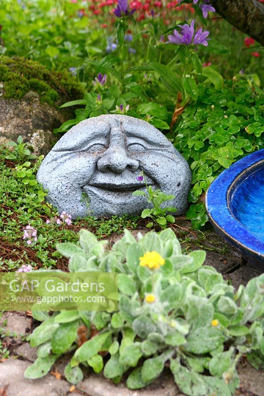 Laughing stone face placed in border