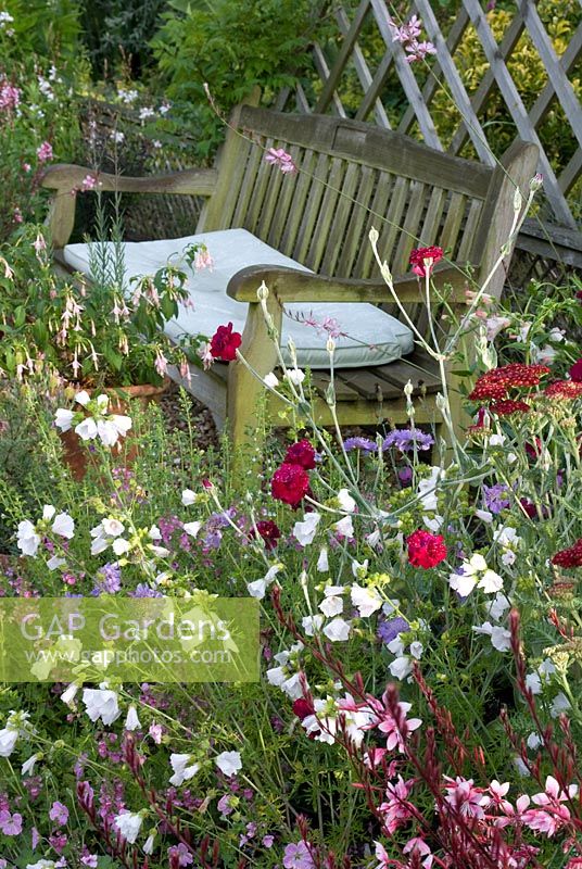Wooden bench by colourful summer bed of Gaura, Dianthus, Scabious, Malva and Alchillea. 'Hazelwood', Jacqueline Iddon Hardy Plants, NGS garden, Lancashire 