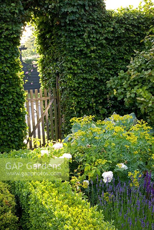 Wooden gate in hedge