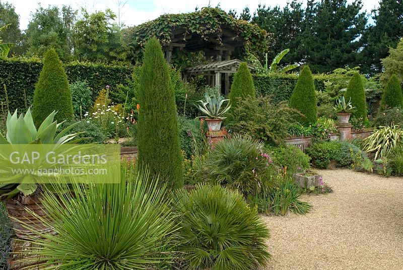 Combination of structural, container, raised bed and dry bed planting with large vine clad pergola in background - The Sunk Garden, The Old Vicarage, East Ruston, Norfolk