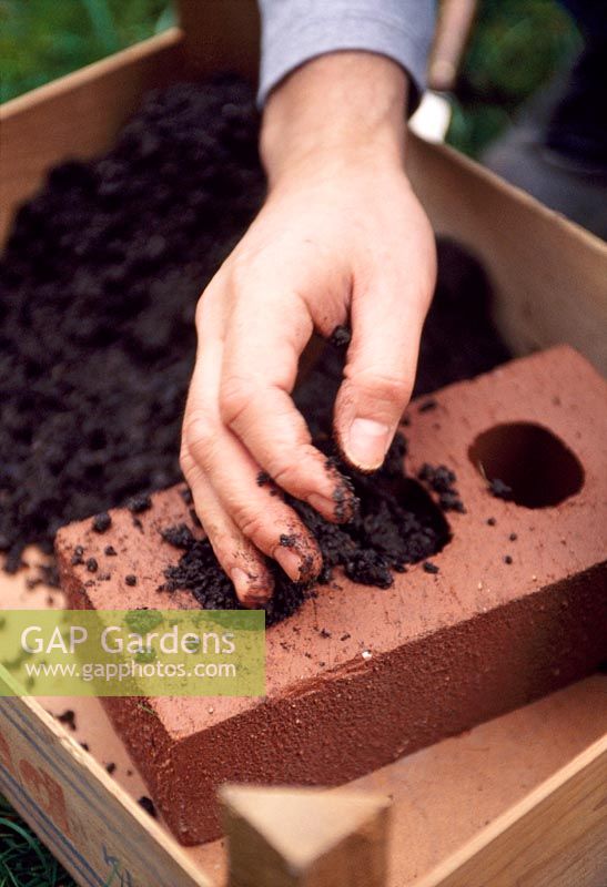 Filing brick with compost, to be used as planter