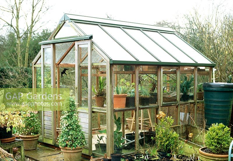 Large greenhouse