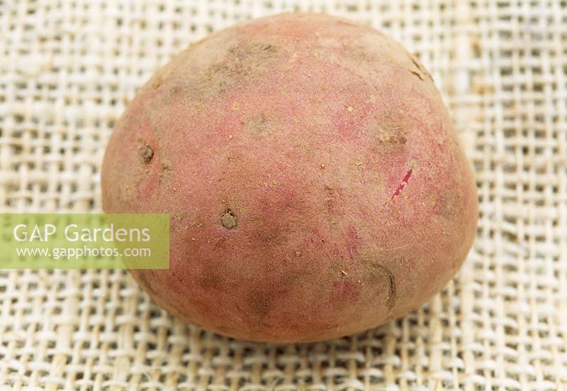 Red skinned Potato