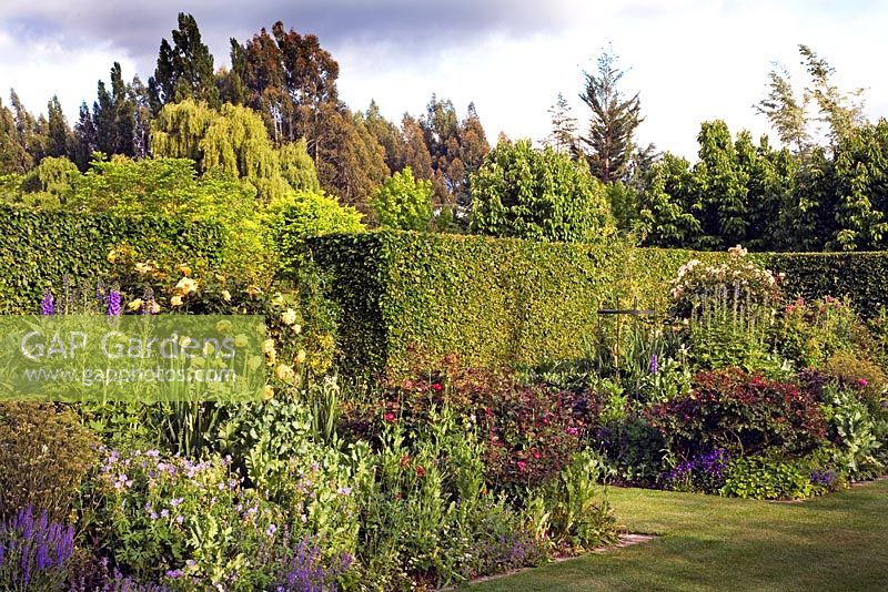 Herbaceous flowerbeds sheltered by clipped hornbeam hedge - Breedenbroek, New Zealand