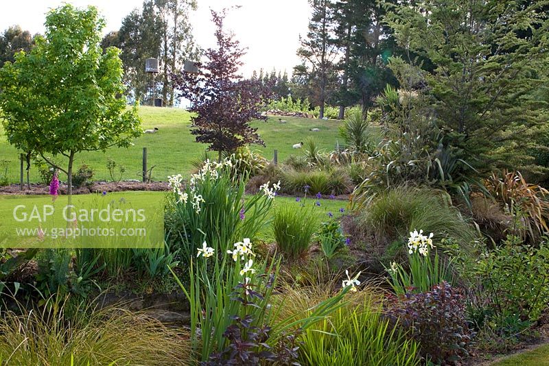 Mixed border with grasses, shrubs and trees - Breedenbroek, New Zealand