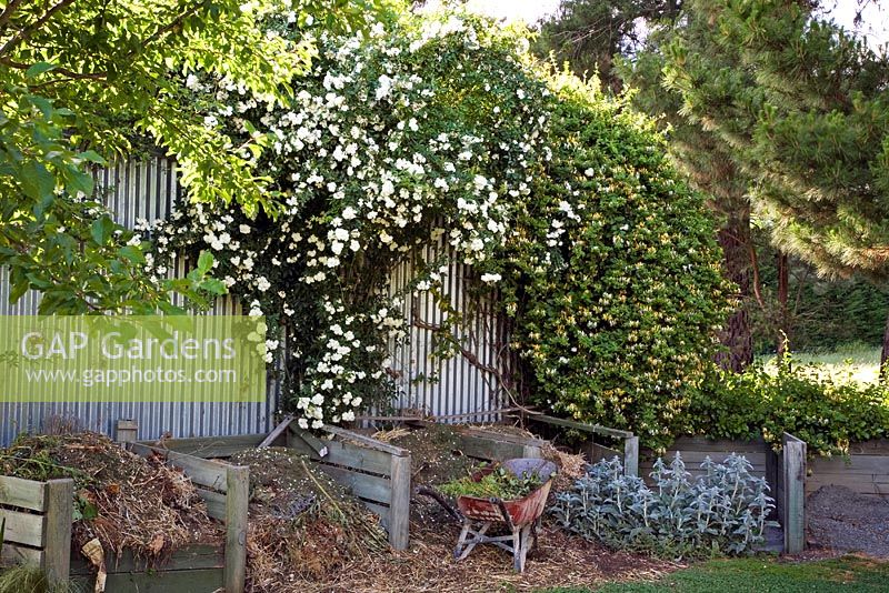 Compost bins and overhanging shrubs - Breedenbroek, New Zealand
