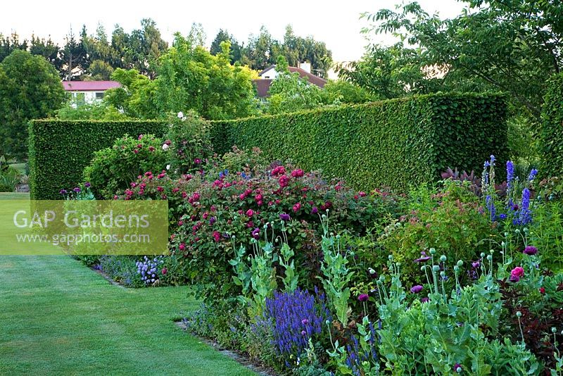 Herbaceous flowerbed sheltered by clipped hornbeam hedge - Breedenbroek, New Zealand