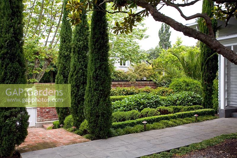 Suburban garden with bed of Cupressus sempervirens - Italian Cypresses, and hedges softened by New Zealand Hebes and Viburnums