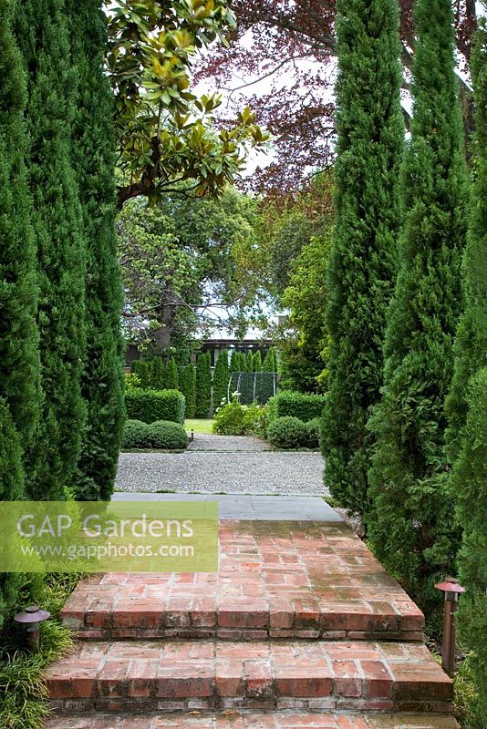 View from entrance of suburban garden with Cupressus sempervirens - Italian Cypresses, to boundary of Thuja trees at the other end. Escallonia hedges contrast with Hebe mounds across the gravelled court. Christchurch, New Zealand