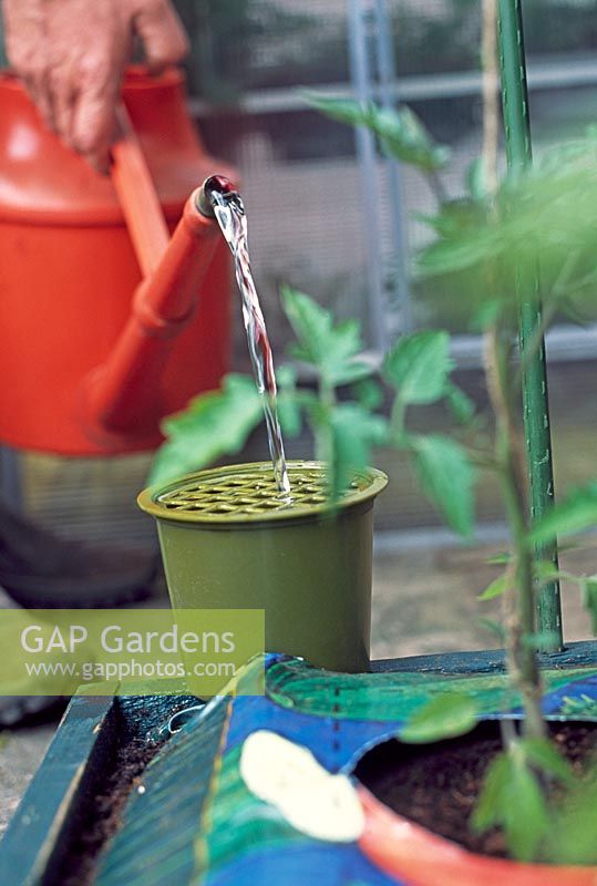 Vegetables in grow bags need feeding and watering regularly.  A watering aid inserted under the plastic and into the bag, will help you to water your plants quickly and effectively