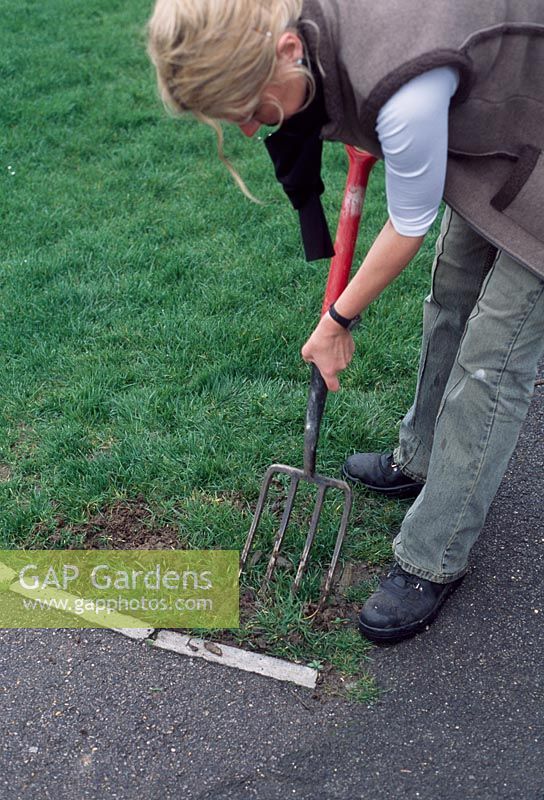 Lawn care. Covering a bare batch of grass, step 2. Fork the soil thoroughly and deeply to improve the texture, including he areas surrounding the worn hole