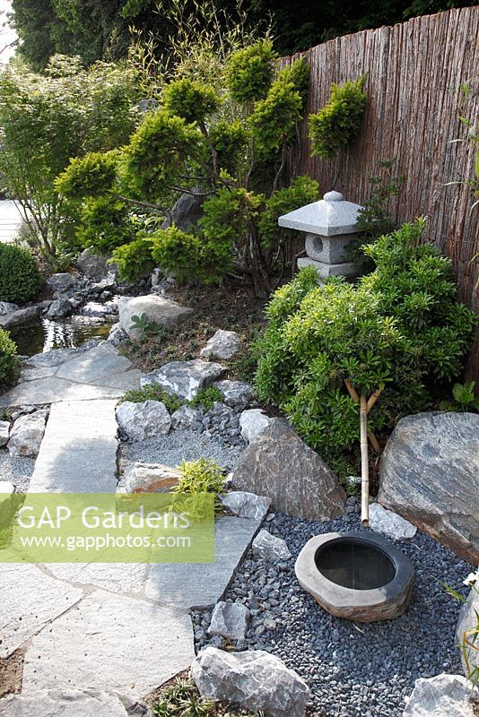 Japanese garden with granite path, lantern and Taxus - Yew topiary