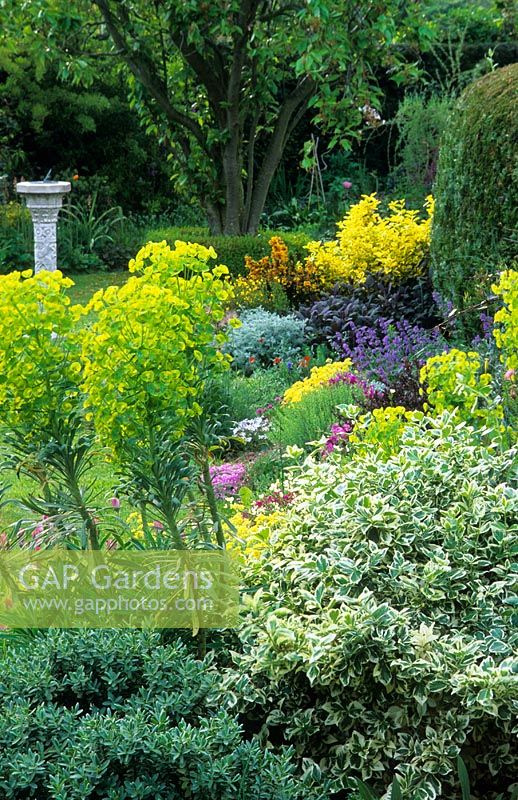 Spring border with Euphorbia, Euonymus, colourful alpines, small herbaceous plants and sundial