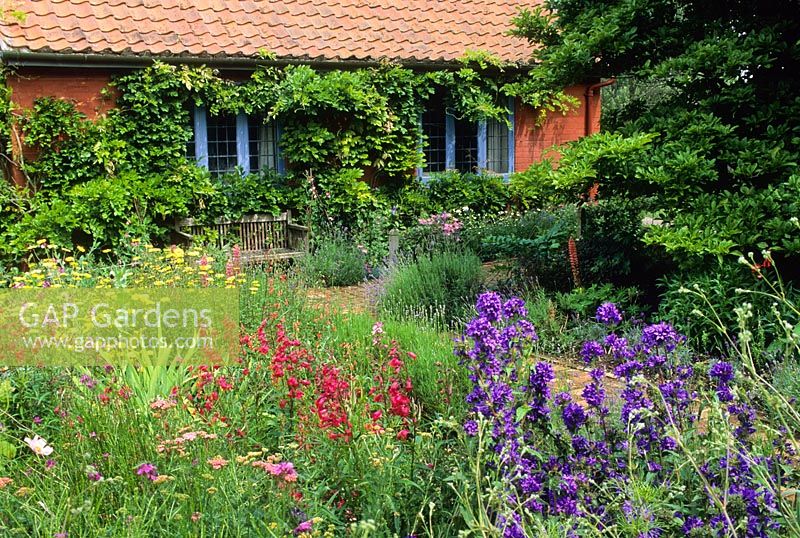 Cottage garden in summer with informal planting including Delphinium and Centranthus