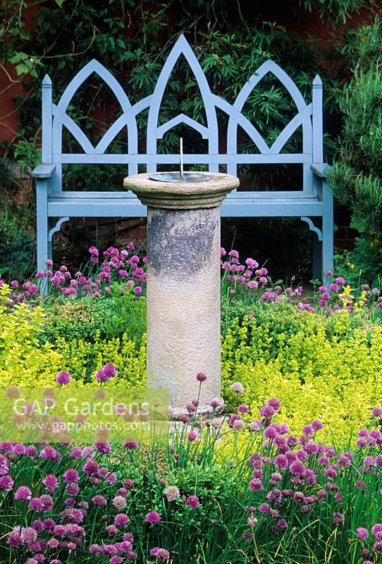 Blue gothic style wooden seat and stone sundial surrounded by Origanum vulgare 'Aureum' and Allium - Chives