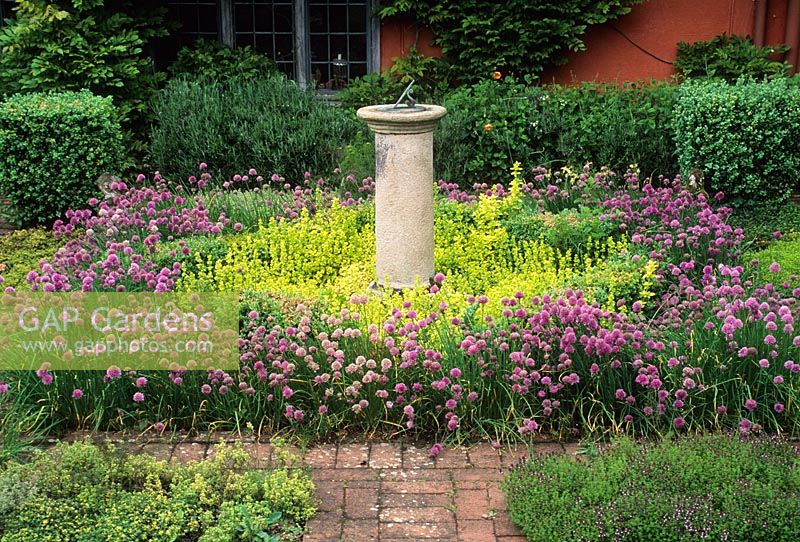 Herb garden with stone sundial, Allium - Chives and Origanum vulgare 'Aureum'