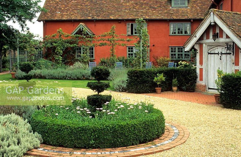 The courtyard in summer with clipped Buxus - Box circles, Taxus - Yew topiary and Osteospermums