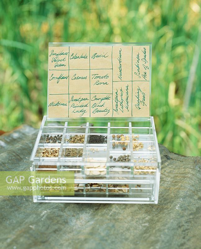 Storage of seeds in plastic box