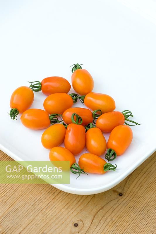 Tomato 'Orange Plum' on white plate