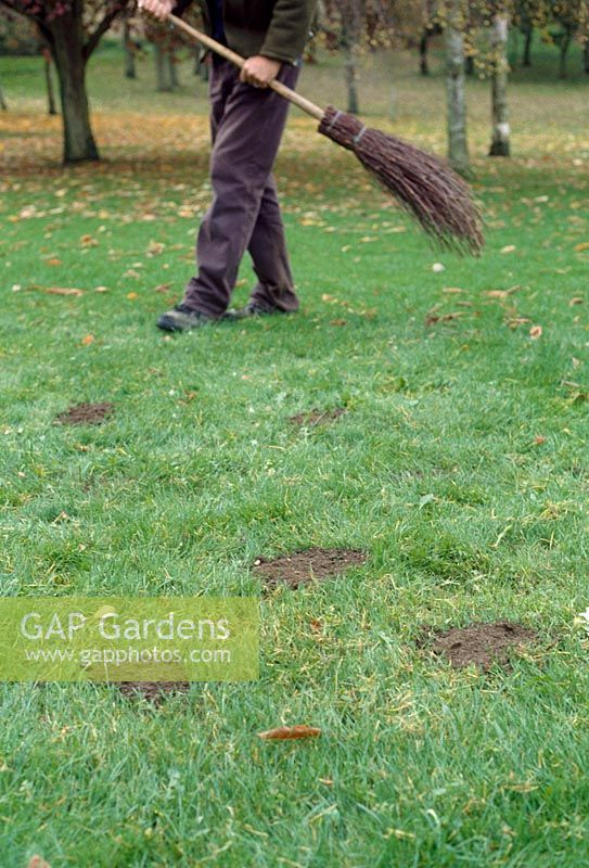Autumn lawn care - Top dress the lawn by spreading a sandy loam mixture in dollops at 3lb  square metre all over the surface. Brush the dressing lightly into the turf to fill holes and gaps, using the back of a rake or besom broom