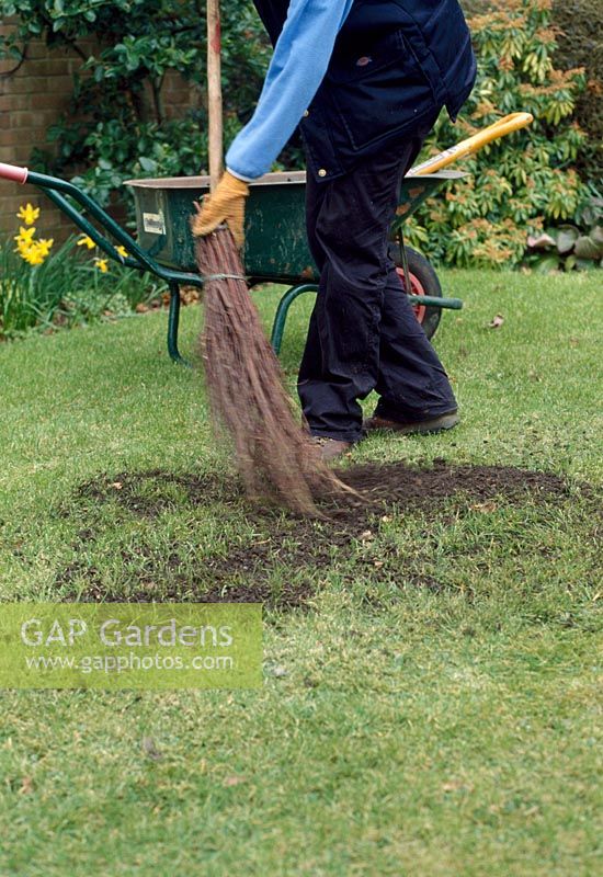 Autumn lawn care - Top dress the lawn by spreading a sandy loam mixture in dollops at 3lb square metre all over the surface. Brush the dressing lightly into the turf to fill holes and gaps, using the back of a rake or besom broom