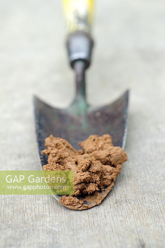 London Clay soil sample on vintage garden trowel