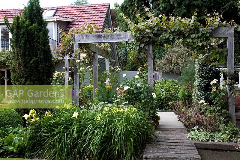Path of recycled railway sleepers  and then concrete under wooden pergola with Vitis vinifera 'Purpurea'  and Rosa 'Greensleeves'. Borders of Hemerocallis and Taxus - columnar Irish Yew tree. On the right are Stachys lanata - Lambs ears, and Heuchera 'Amethyst'. Christchurch, New Zealand 