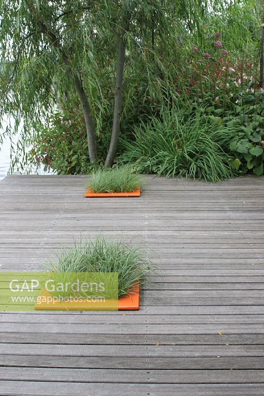 Ornamental grasses planted in square beds in wooden terrace near waterside with orange accents.