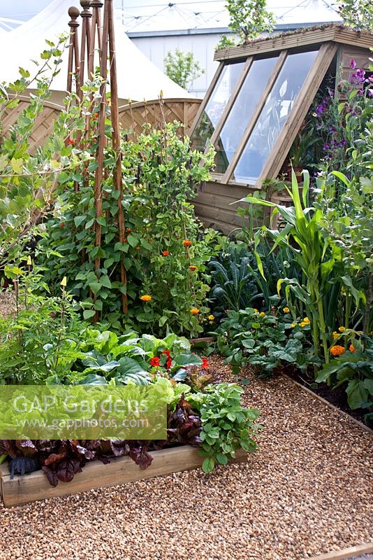 Credit Munch - BBC Gardener's World 2009