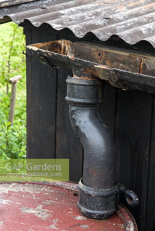 Collection of rainwater from corrugated tin roof of rustic garden shed - 'The Recovery and Wellbeing Garden', Gold Award Winner - Malvern Spring Show 2010
