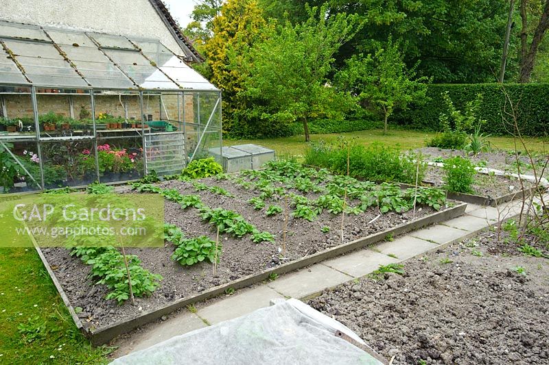Vegetable garden with four beds for rotation of crops
