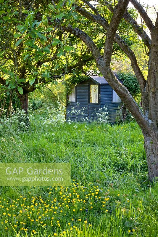 Summerhouse in woodland garden