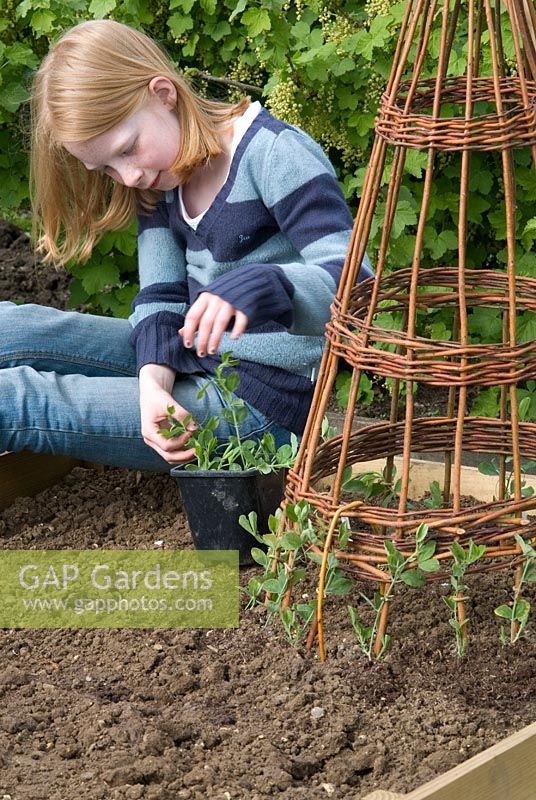 Young gardener working in a vegetable plot. April