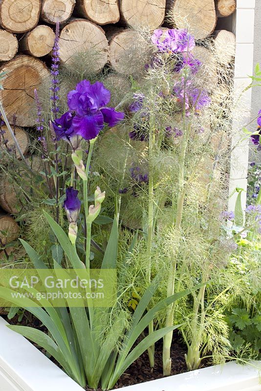 The Unexpected Gardener, Gold medal winner - RHS Chelsea Flower Show 2010