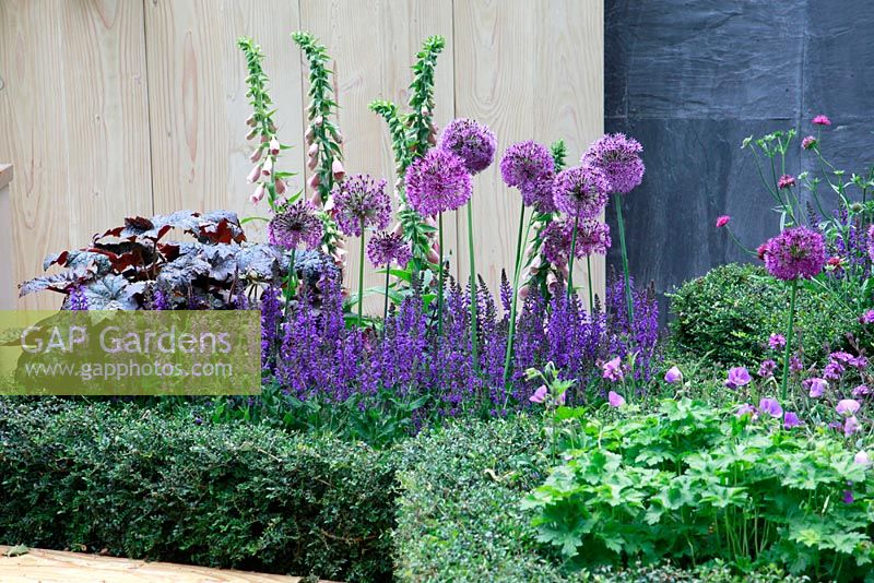 Allium, Digitalis, Heuchera and Salvia - Global Stone Bee Friendly Plants Garden, Silver medal winner at RHS Chelsea Flower Show 2010 
