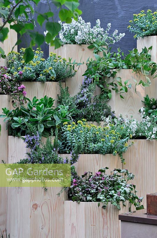 Trifolium, Clematis and Sedum in terraced hexagonal planters - Global Stone Bee Friendly Plants Garden, Silver medal winner at RHS Chelsea Flower Show 2010 