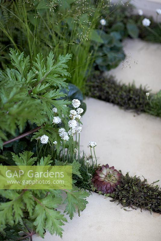 Foreign and Colonial Investments Garden - Silver Gilt medal winner, RHS Chelsea Flower Show 2010 